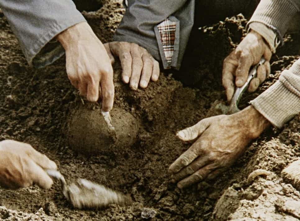 A close-up of a few hands digging in the dirt.
